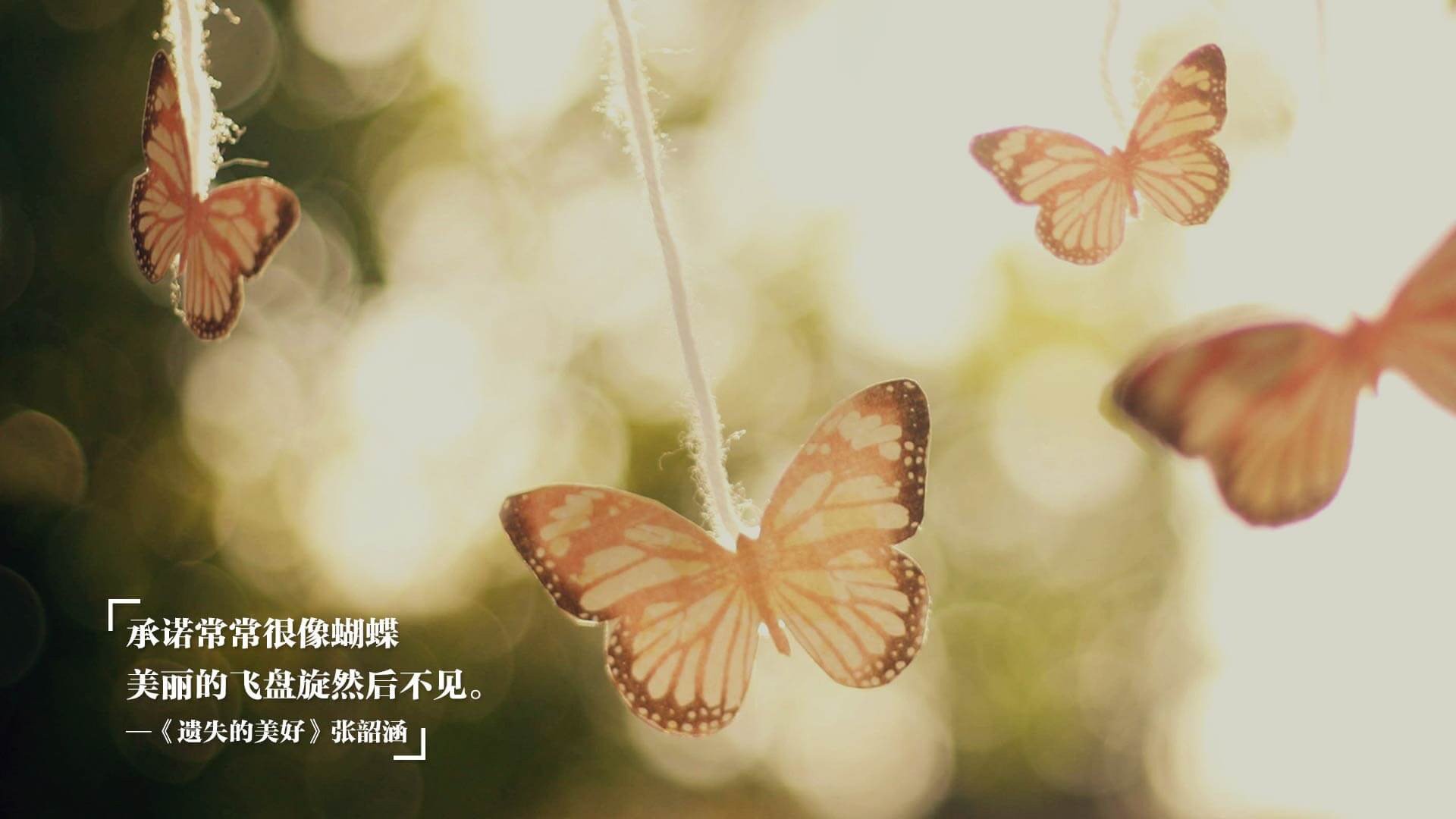 _多彩运动嘉年华:全民参与的欢乐盛会_,多姿多彩运动会