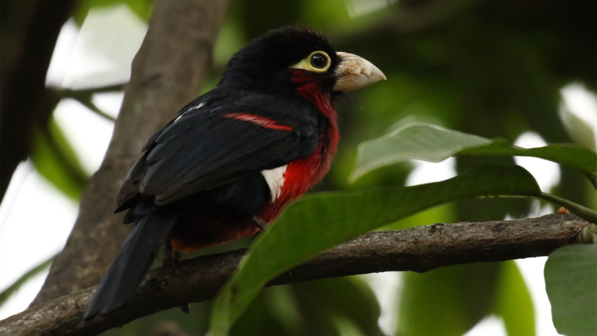 “乘风破浪:沿海赛段的速度魅力”,乘风破浪比赛歌曲