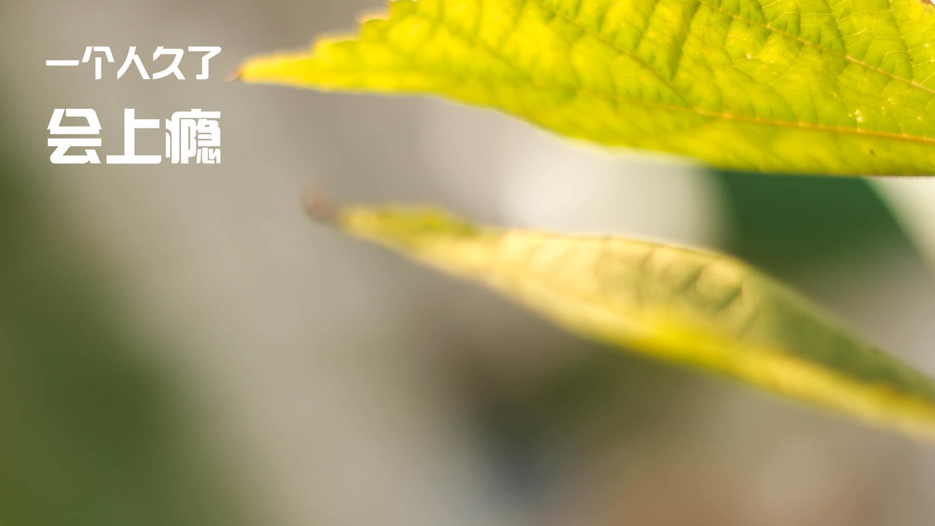 九游（jiuyou.com）游戏-《【幕后揭秘】职业选手的日常训练如何科学提升？》，职业选手是怎样训练的