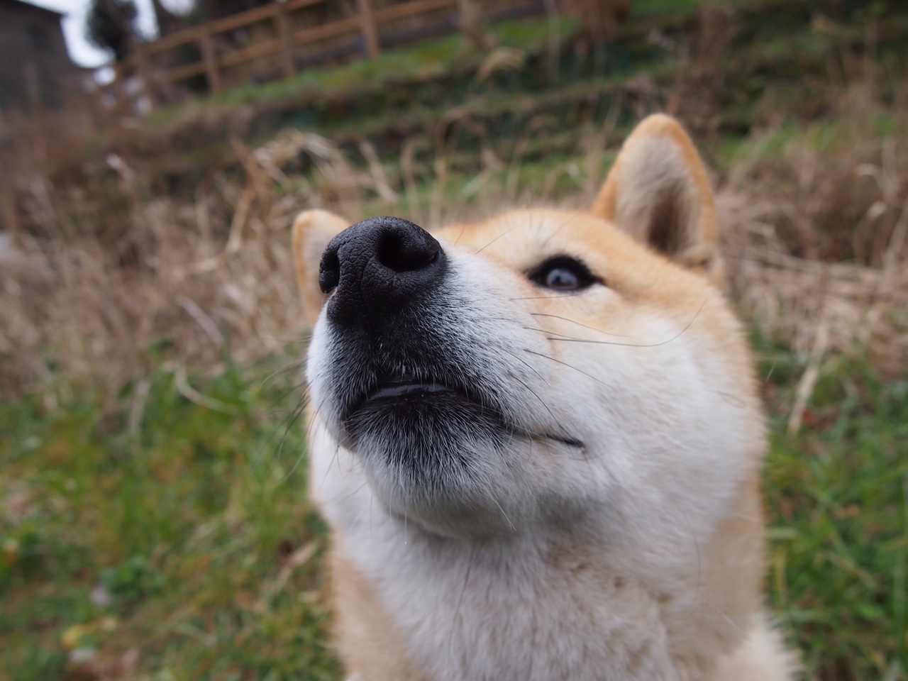 《《守望先锋》全球锦标赛,队伍战术精彩纷呈》,守望先锋全国总决赛