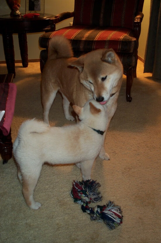 球员专访：赛后畅谈比赛心得，球赛后的感受