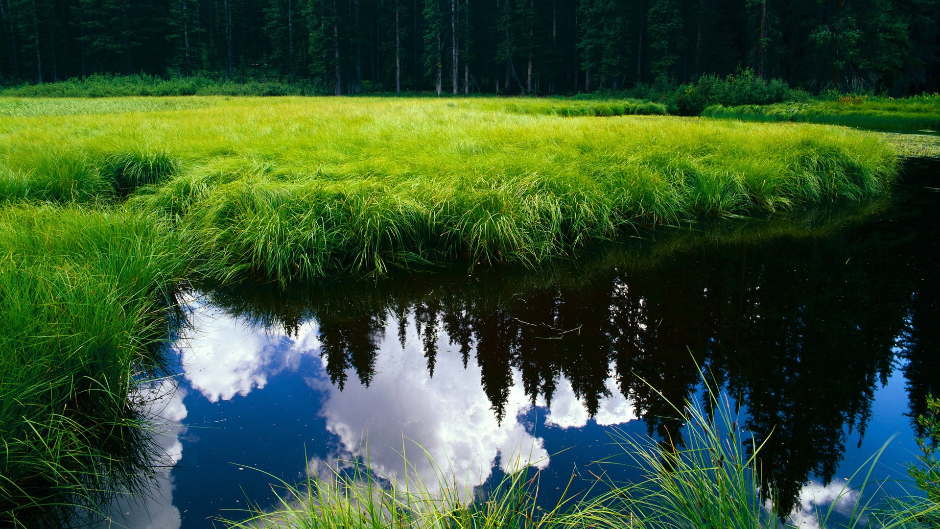 -英超球队在商业运营上不断创新，提升国际影响力，英超商业化