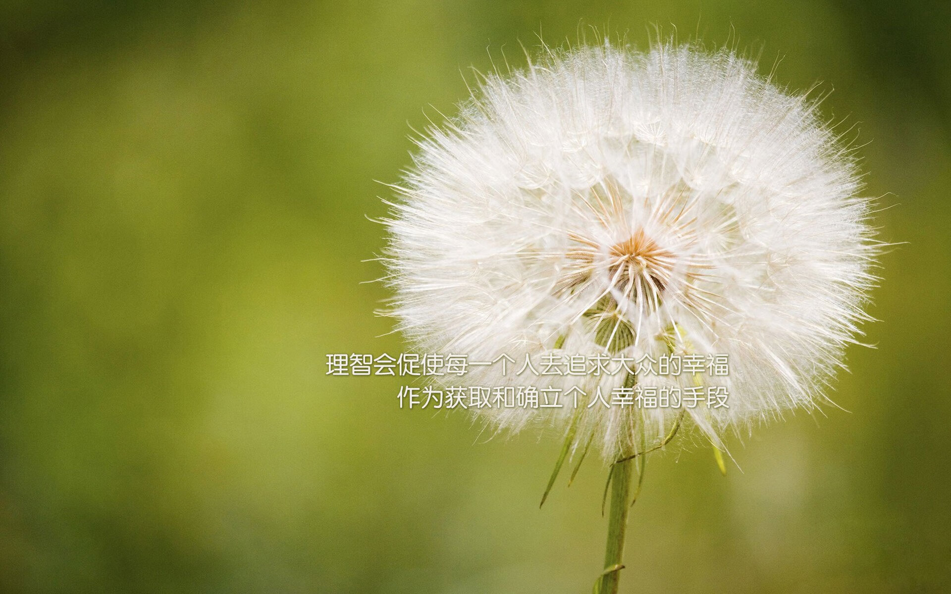 青少年篮球联赛激发校园运动热情，青少年篮球活动