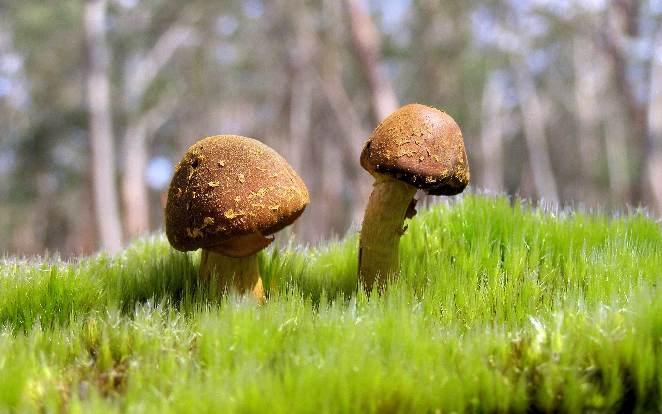 Aster与赞助商签订新合作协议