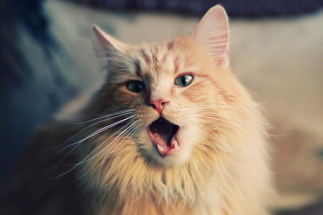 NBA球队联名电竞赛事即将开启,nba电竞对战联赛