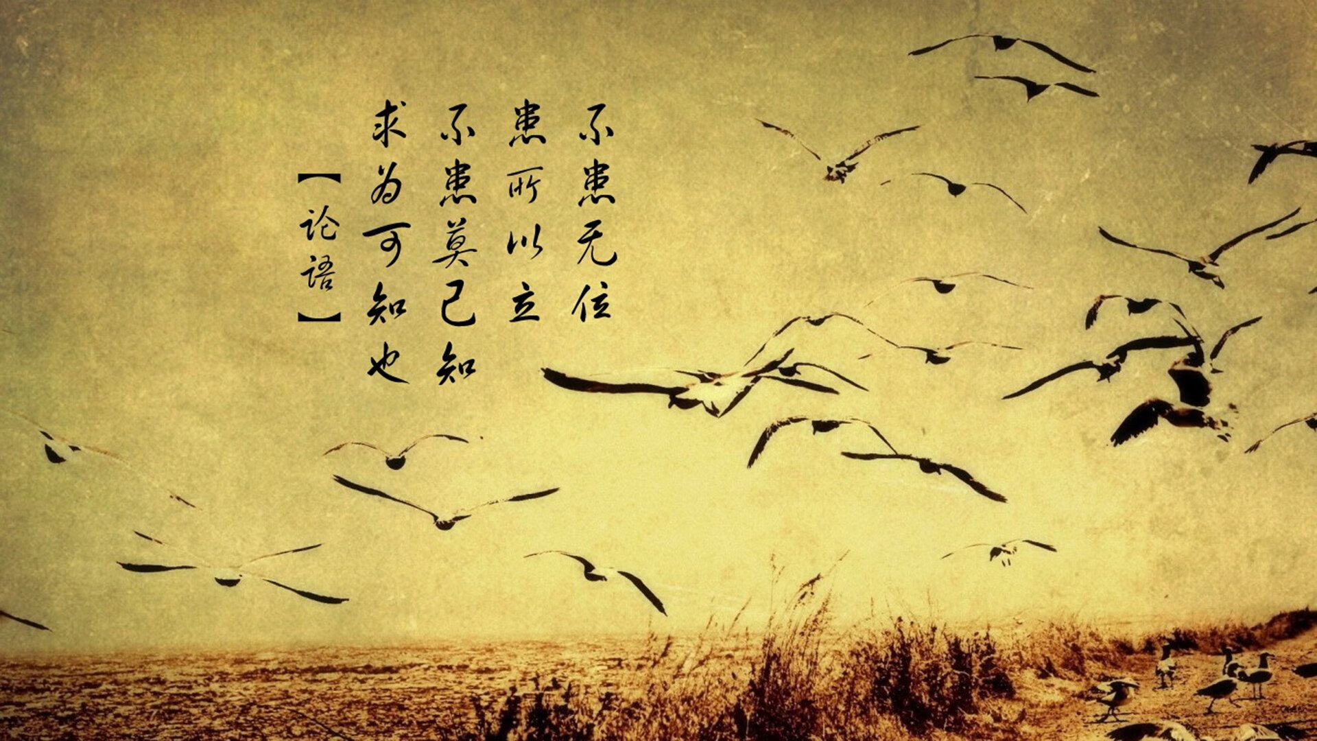 九游电脑版-亚洲足球豪强齐聚一堂，精彩对决即将启幕，亚洲足球赛赛程