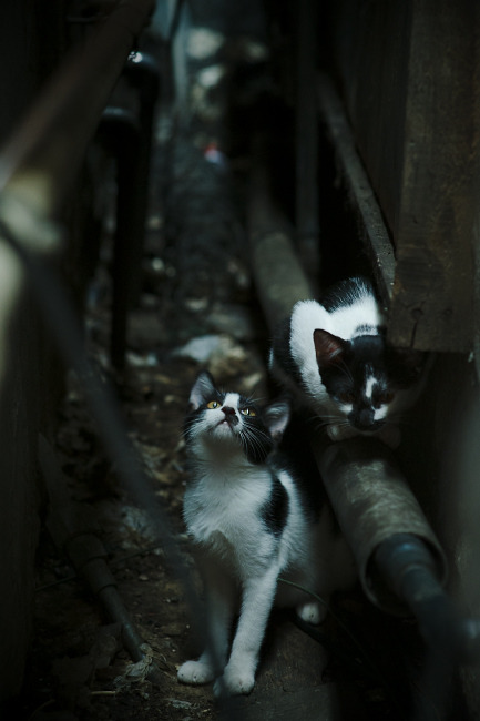 九游下载官网-争分夺秒：时间紧迫，每一秒都至关重要，争分夺秒与时间赛跑 下一句