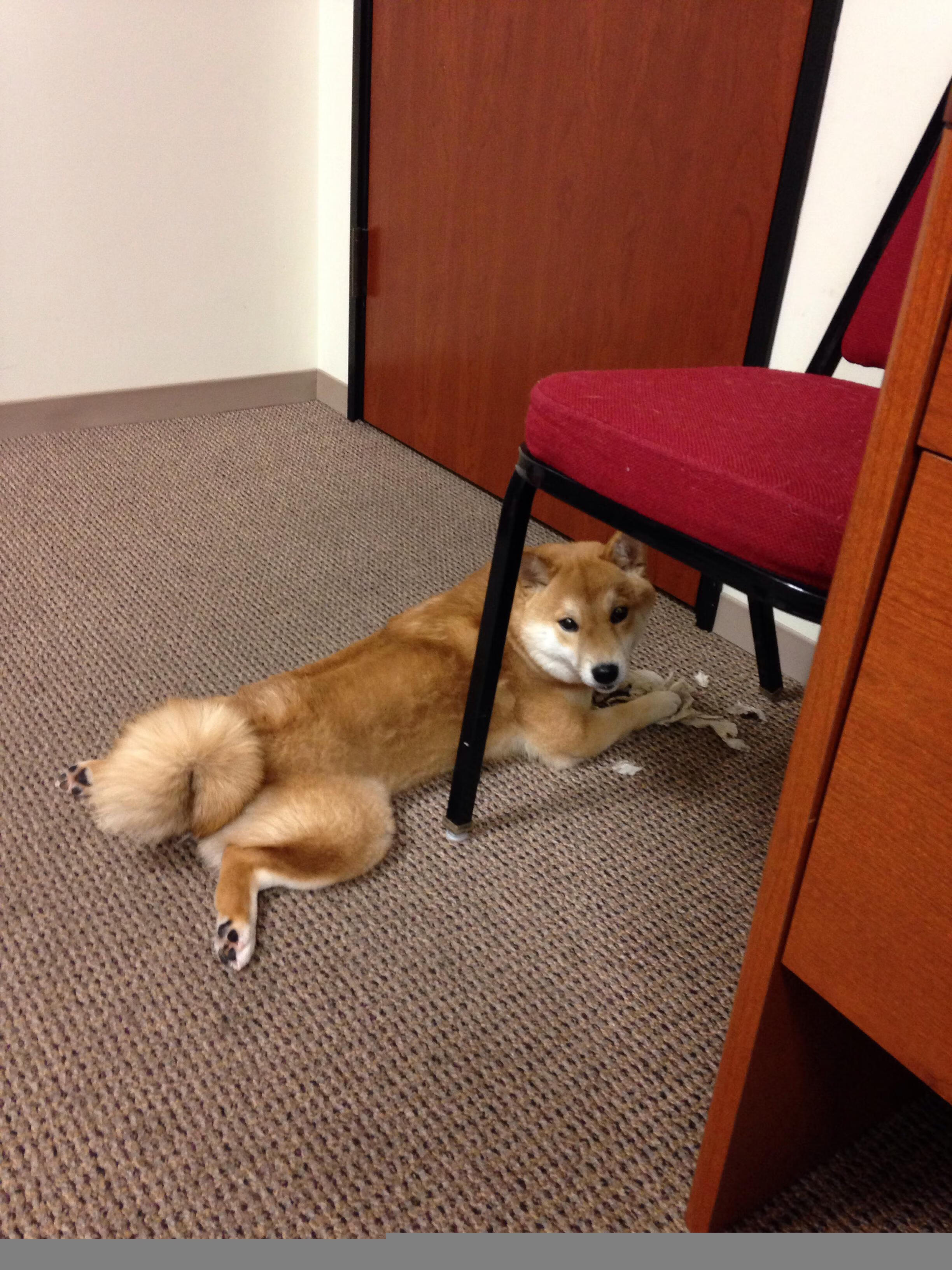 凯撒酋长与欧洲俱乐部达成球员交换协议，凯撒酋长与欧洲俱乐部达成球员交换协议了吗