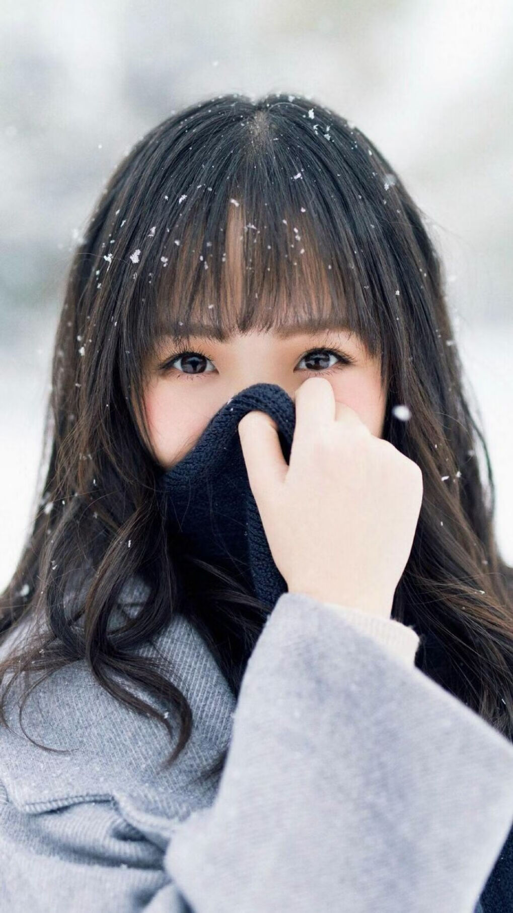 切尔西主场击败西布朗，英超卫冕希望重新燃起，切尔西vs西布朗预测