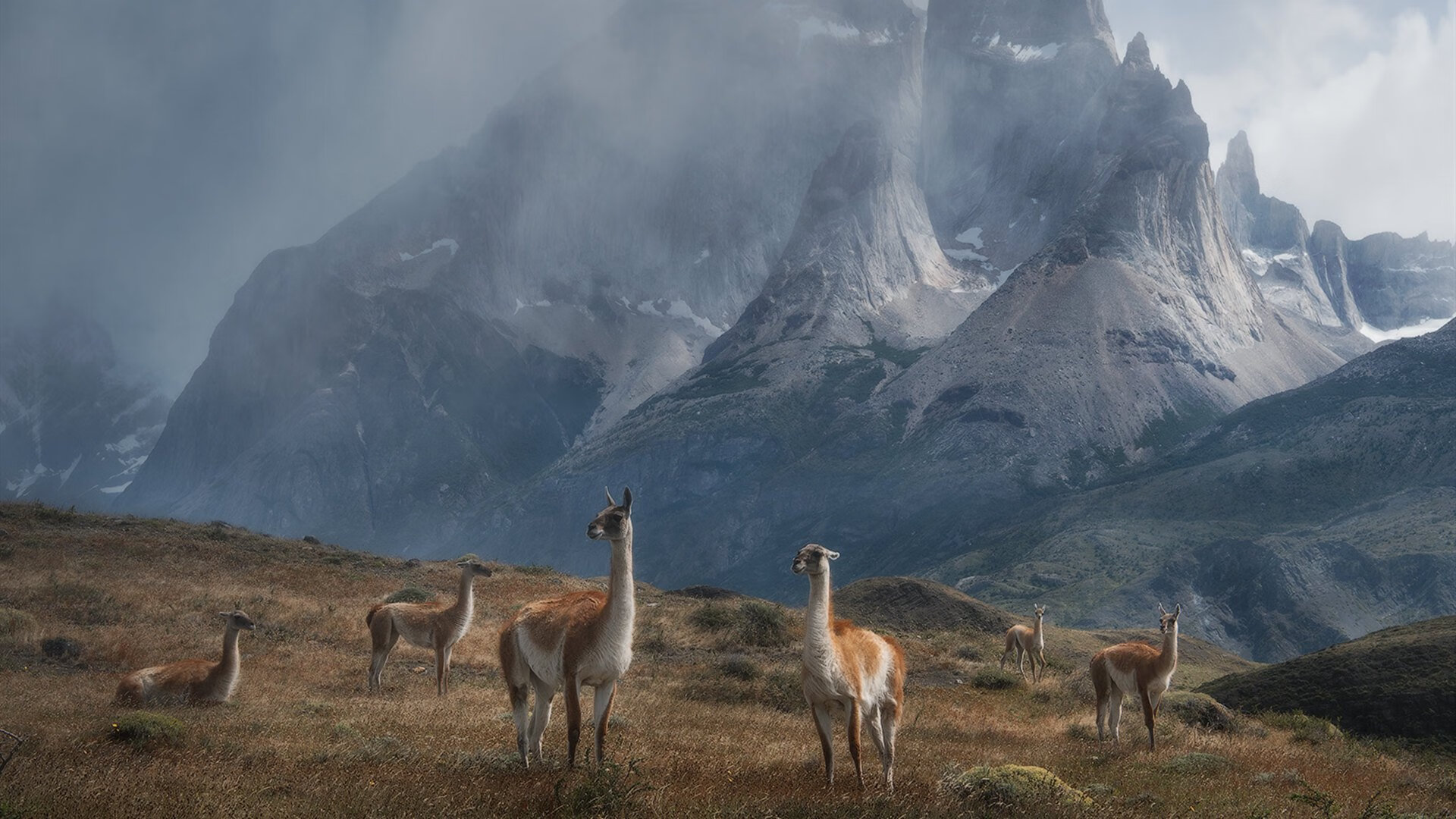 南安普顿中场核心：球队的发动机，南安普顿 球队
