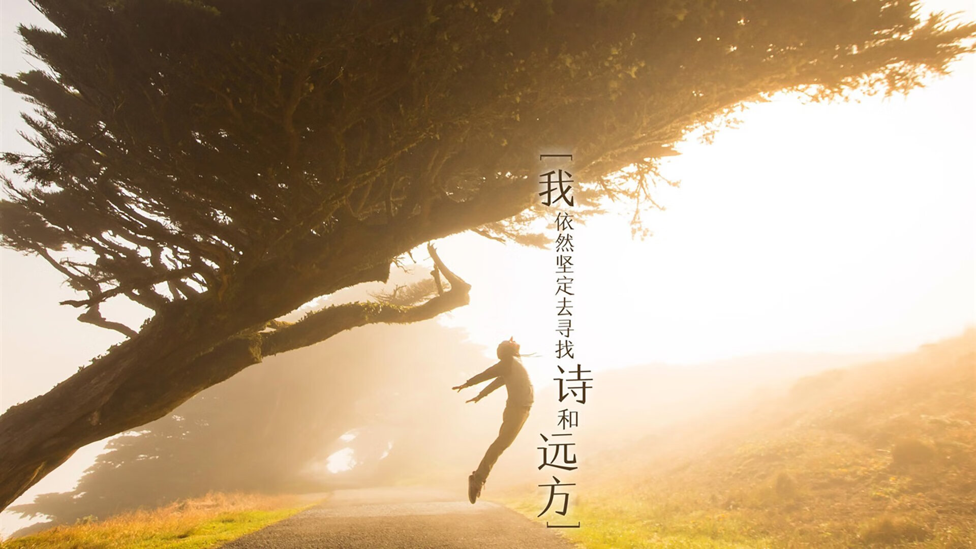 JiuyouAPP下载-埃弗顿控球占优，古迪逊公园盼逆袭，埃弗顿迪涅