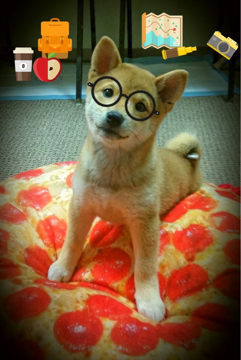 九游官网pc-女足世界杯运动员心理健康关注，女足相关人员