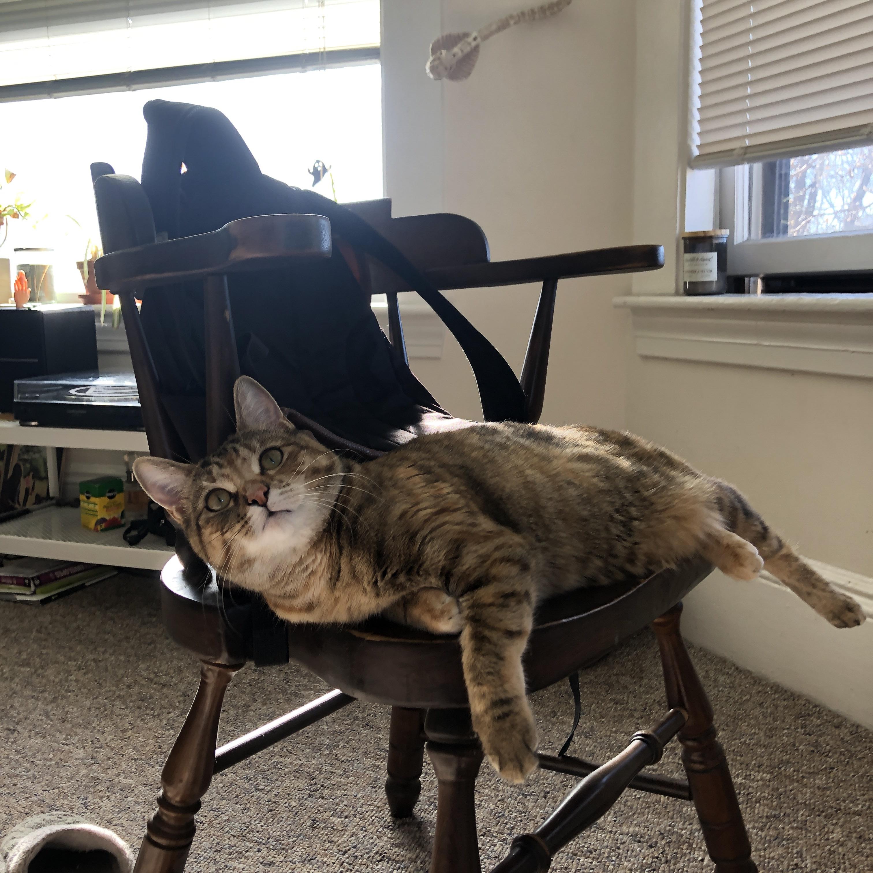 JIUYOU GAMING-女足世界杯志愿者招募启动，女足世界杯小组