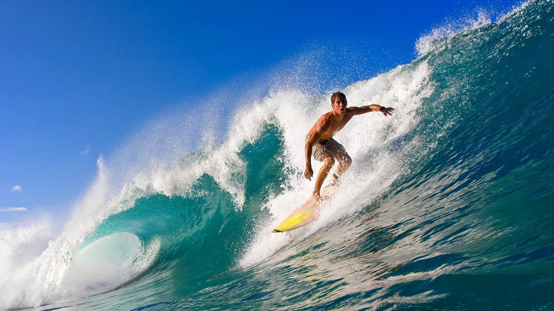 女足世界杯志愿者招募启动，女足世界杯小组