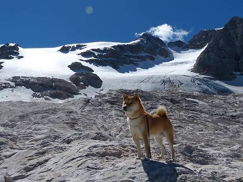 巴黎圣日耳曼横扫对手，法甲联赛领先优势扩大，法甲巴黎圣日耳曼首发阵容