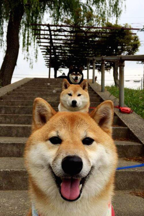 摩洛哥队在巴黎奥运会男足比赛中表现出色,赢得奖牌,摩洛哥男足世界排名