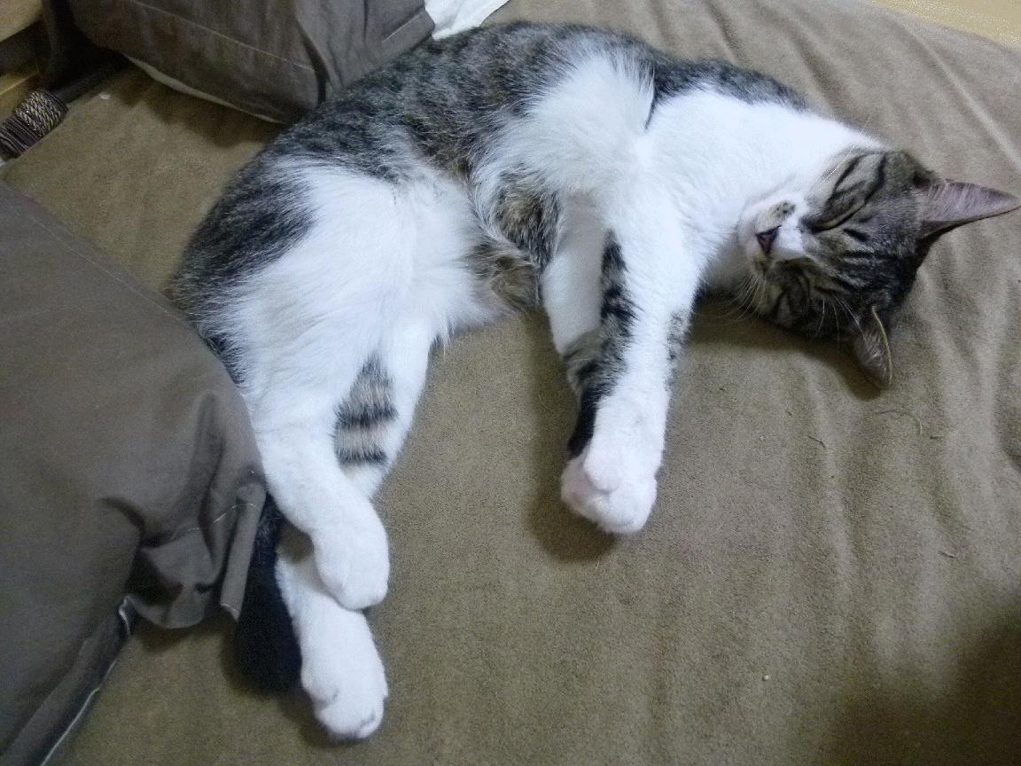 河床防守强度逐步加强，河床情况