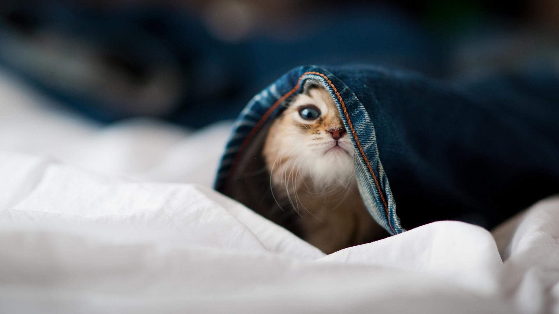 江苏队力争晋级，球员拼尽全力奋战！，江苏队比赛