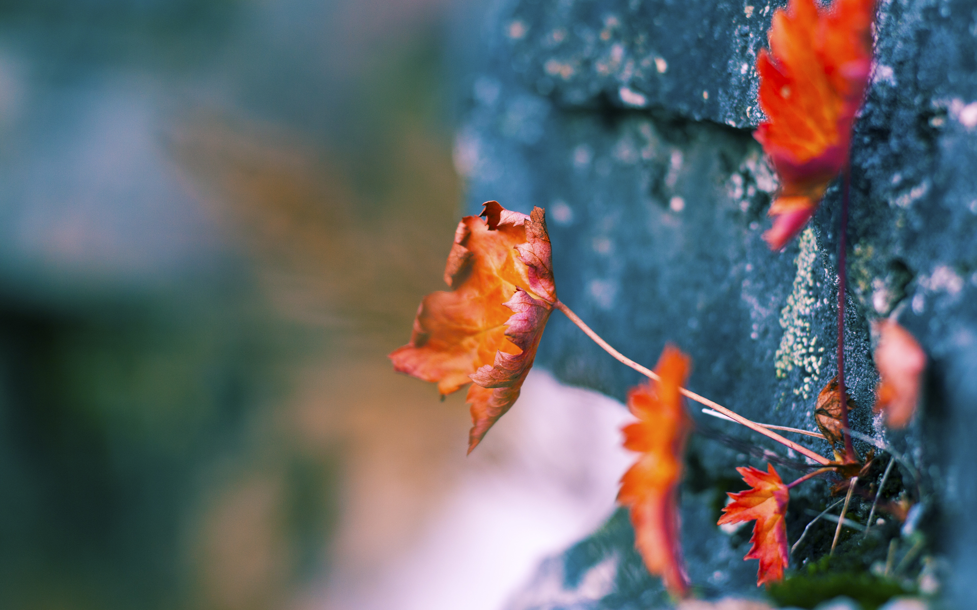 电竞文化节举办经验分享：打造极具影响力的电竞盛会，电竞文化馆