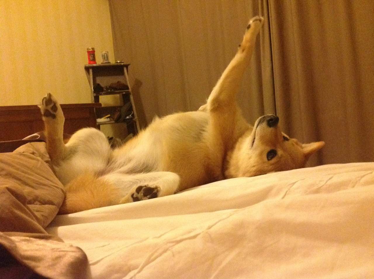 精神斗志高昂，排除万难，赢得宝贵胜利，精神焕发斗志昂扬