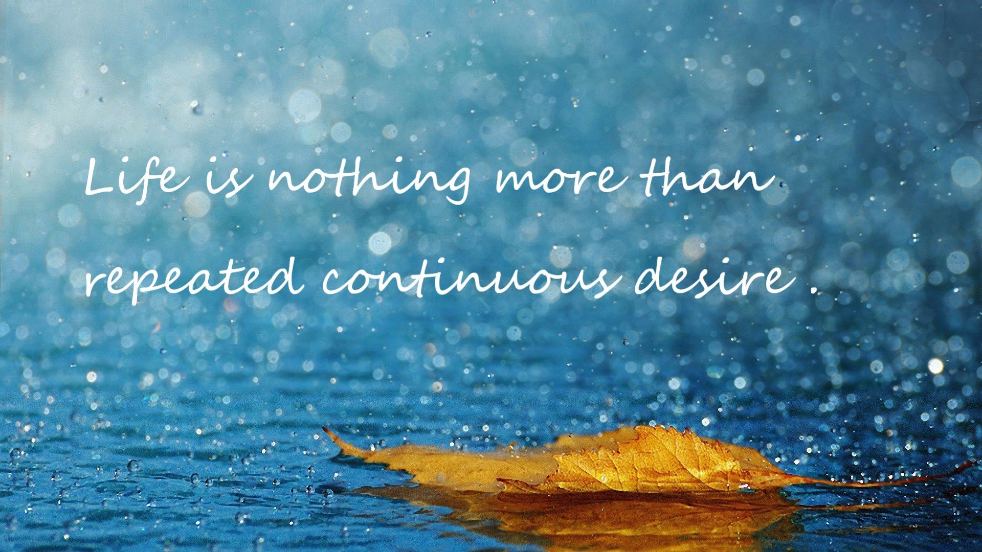 九游APP官网-阿根廷队主场战胜荷兰队获得友谊赛胜利，阿根廷队主场战胜荷兰队获得友谊赛胜利的球队