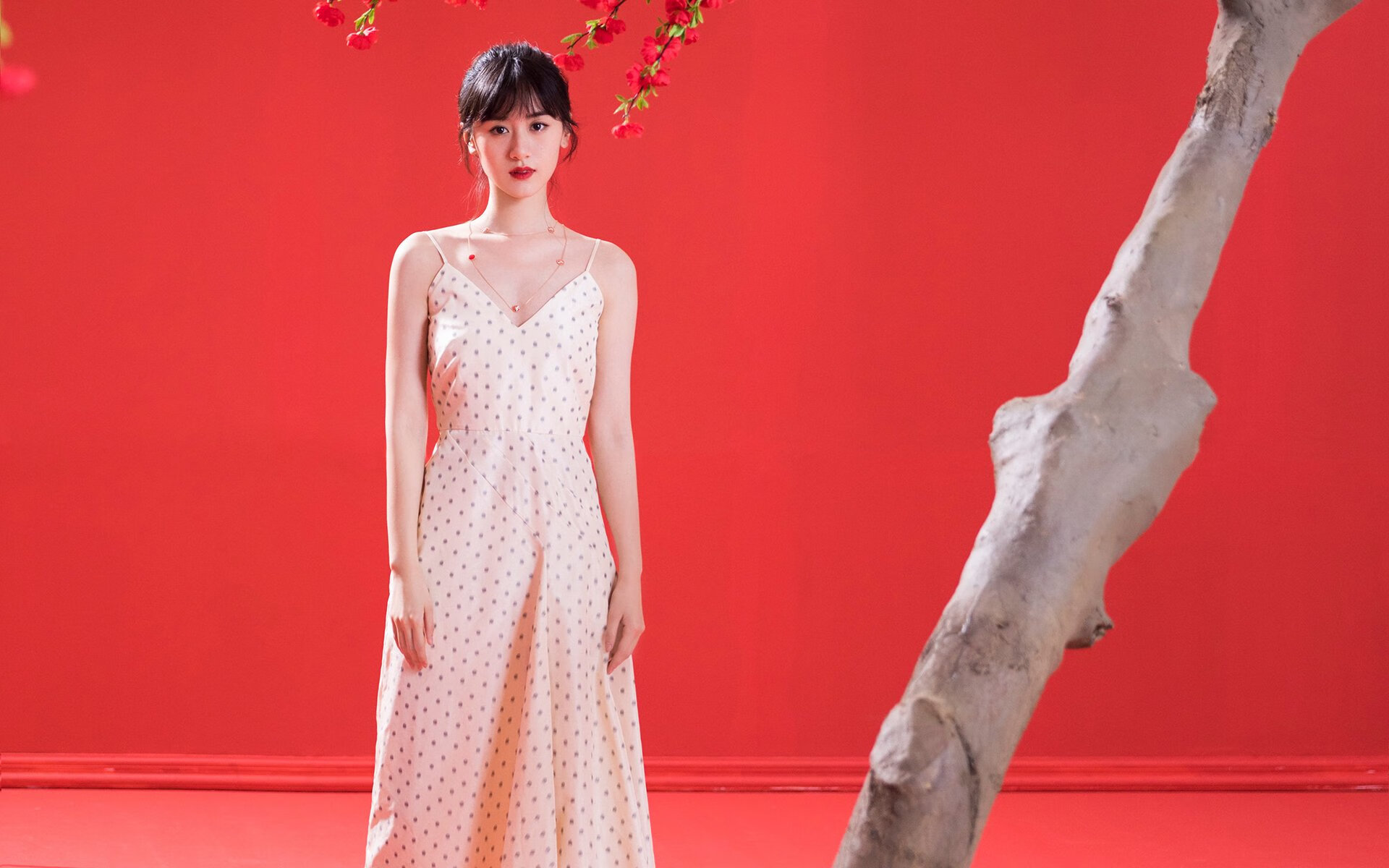 世界射箭巡回赛中国女队夺魁，世界射箭锦标赛中国队