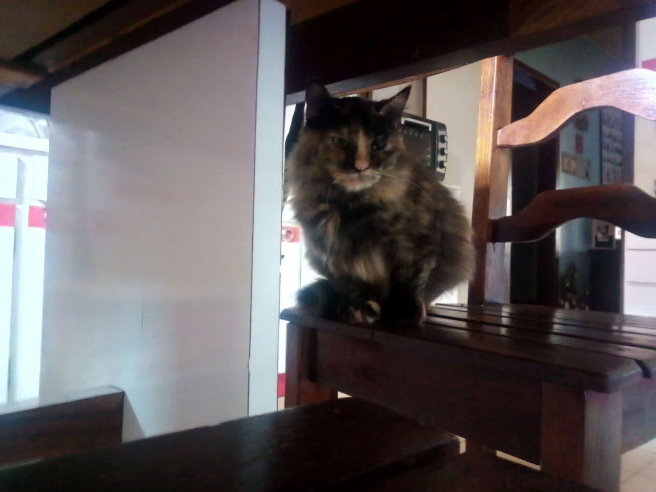 东京马拉松埃塞选手刷新纪录，东京马拉松成绩