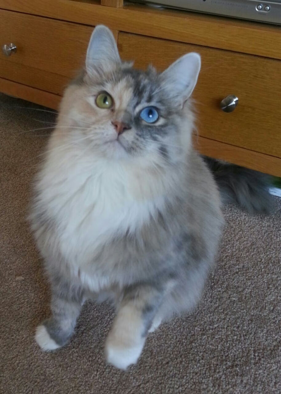 九游网页版官网入口-德甲球队通过数据建模优化球员冲刺频次分配的研究，德甲冲刺速度最快球员