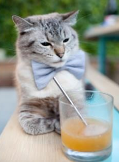 法甲球员比赛压力下技术动作选择的应激反应研究，法甲比赛有什么特点