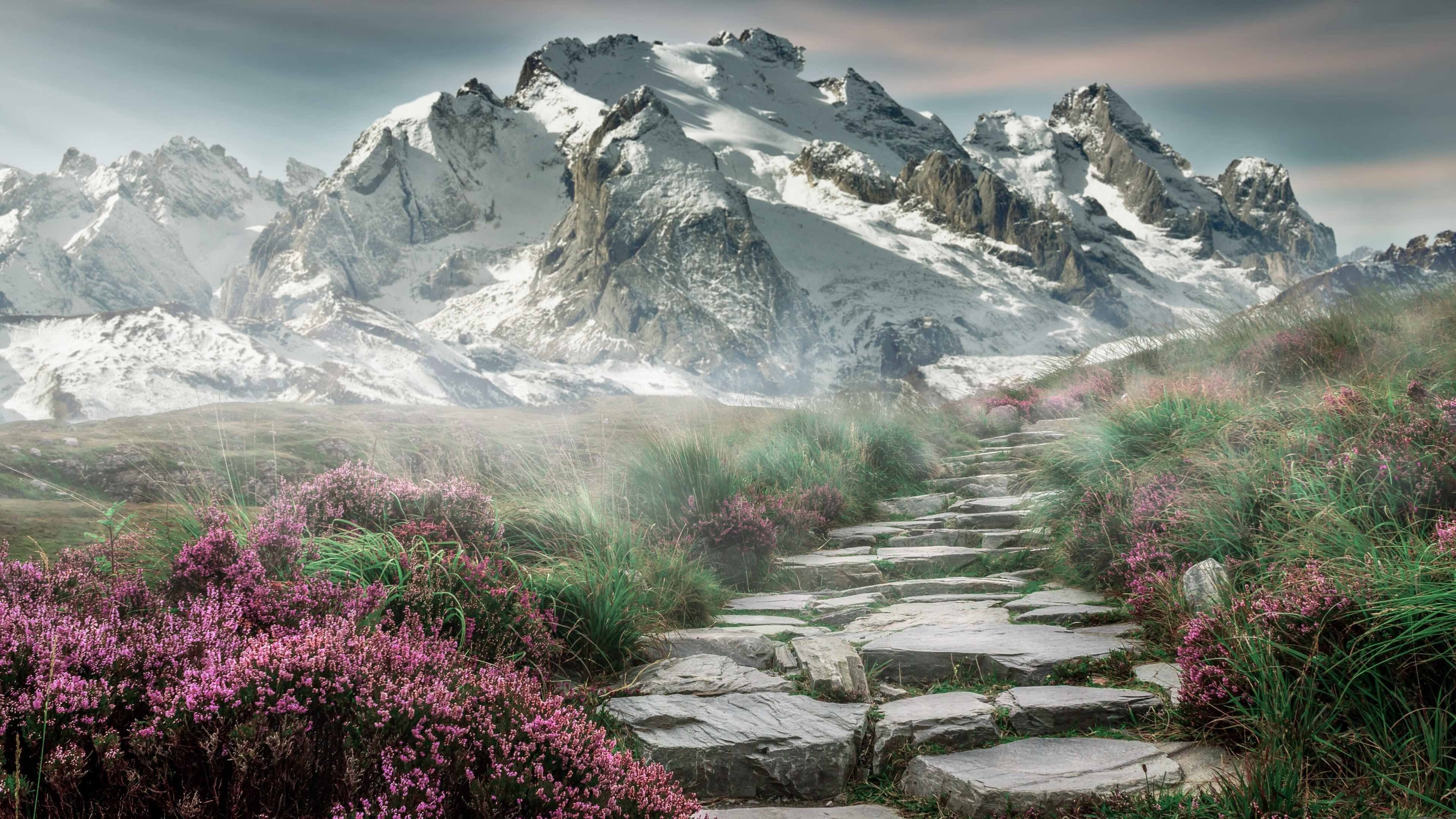 篮球运动员专项体能训练技术创新及实际应用分析，篮球运动员体能训练计划