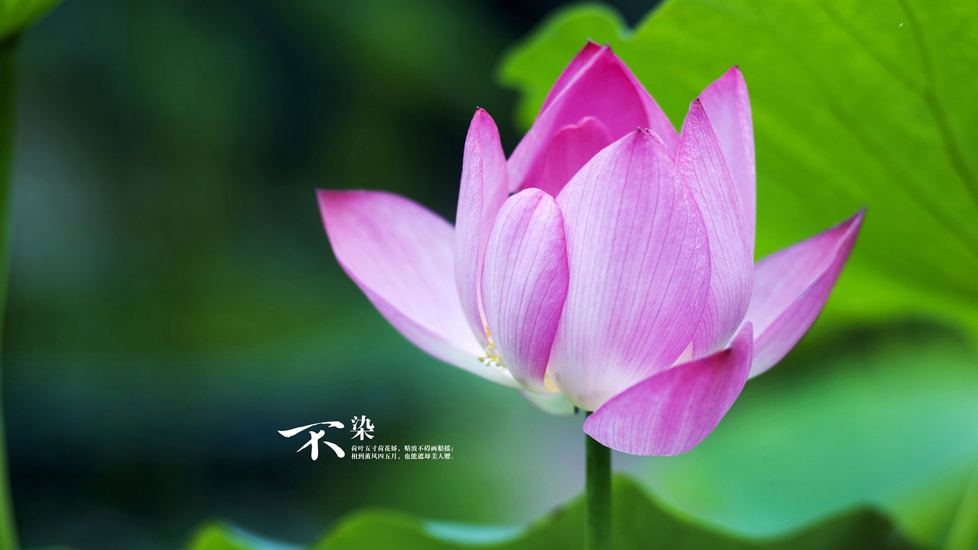 高校体育场馆运营效率提升策略，高校体育场馆如何运营和管理