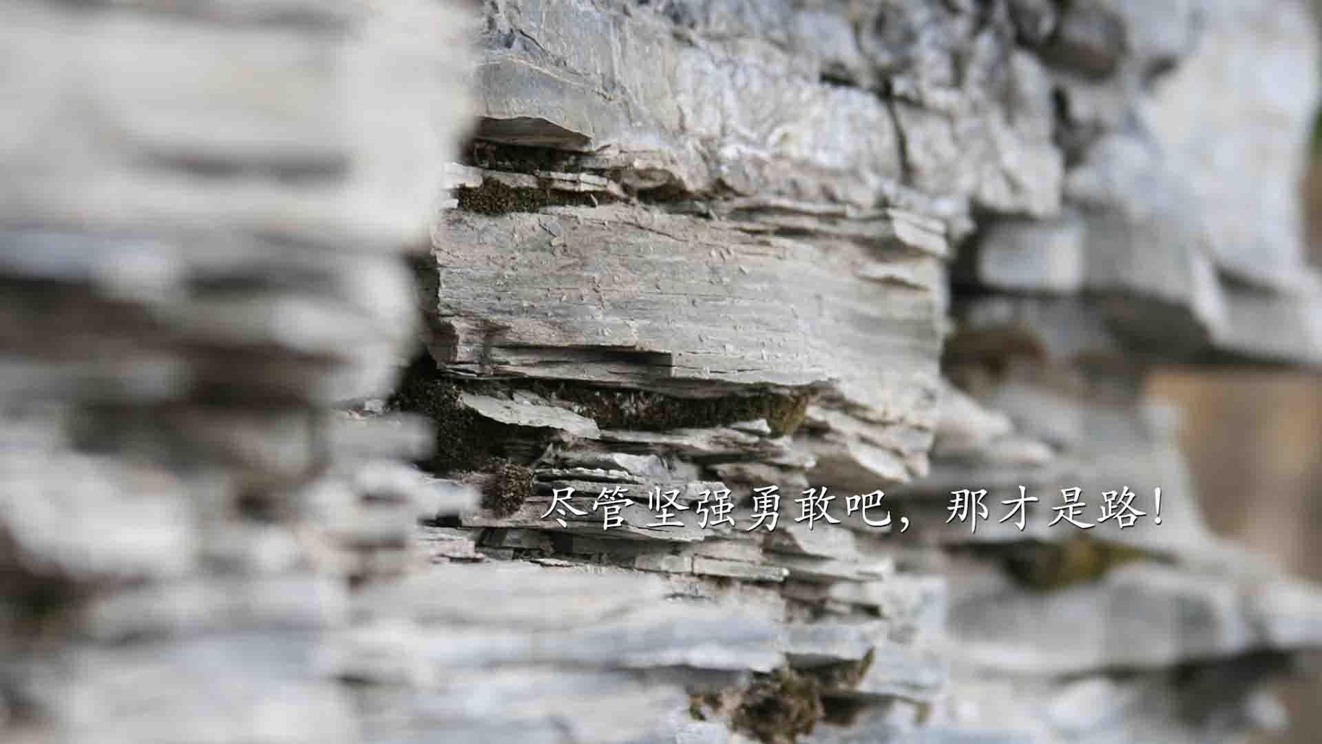 乒乓球大赛全面改革,赛制变化提高挑战性,乒乓球比赛规则改革