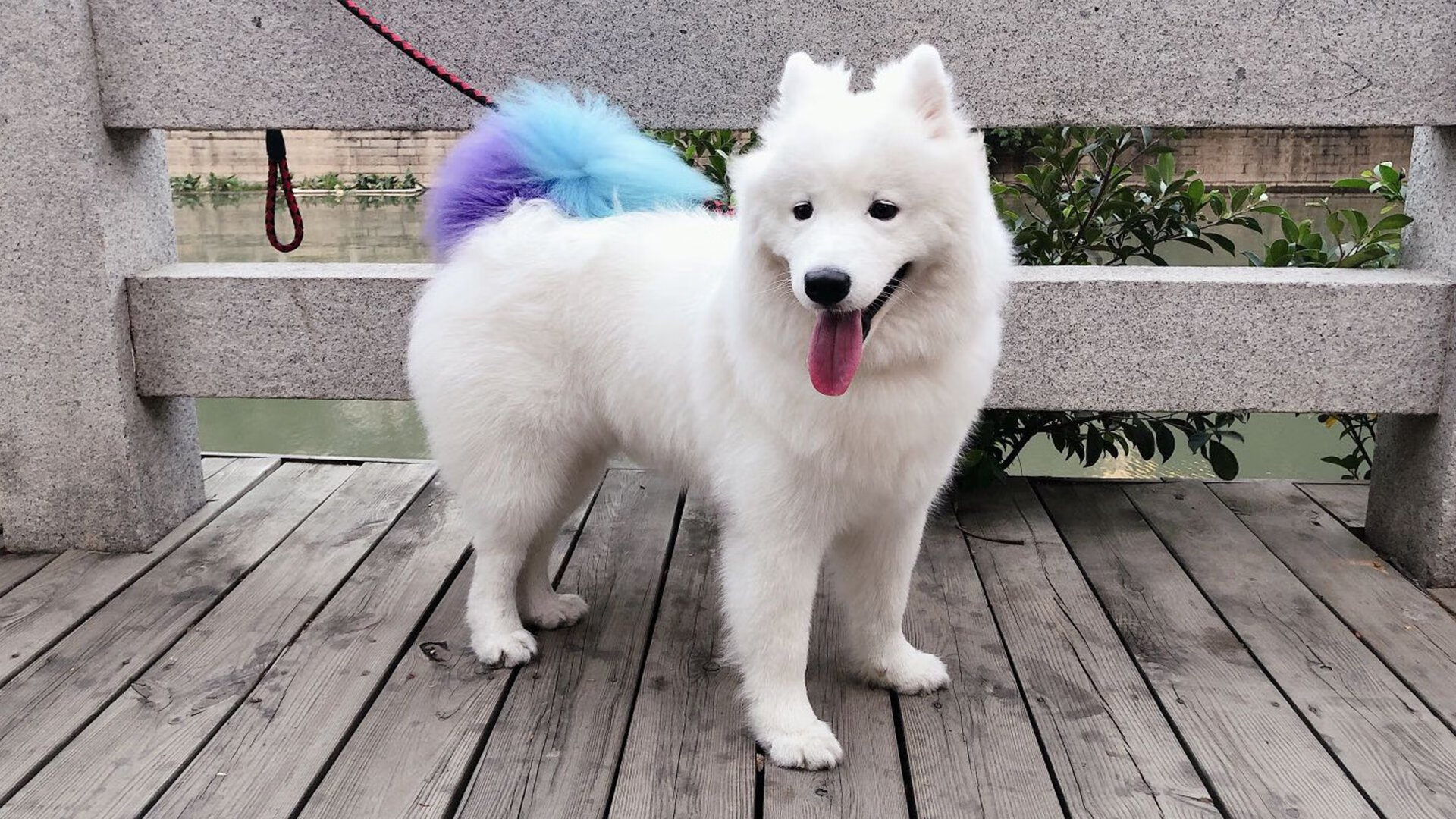 外线压力下谁还能保持手感稳定