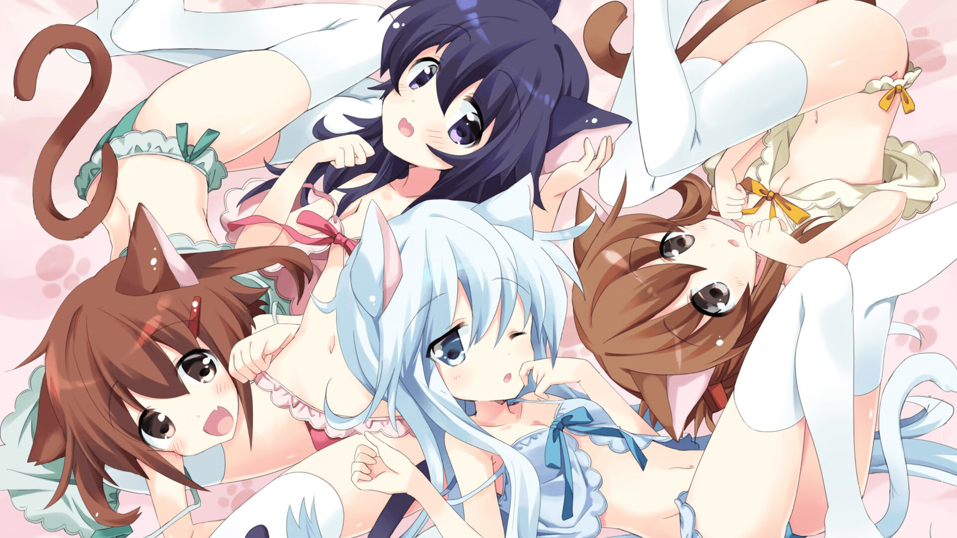 训练方式不断优化助力成绩突破，训练原则优化的内容