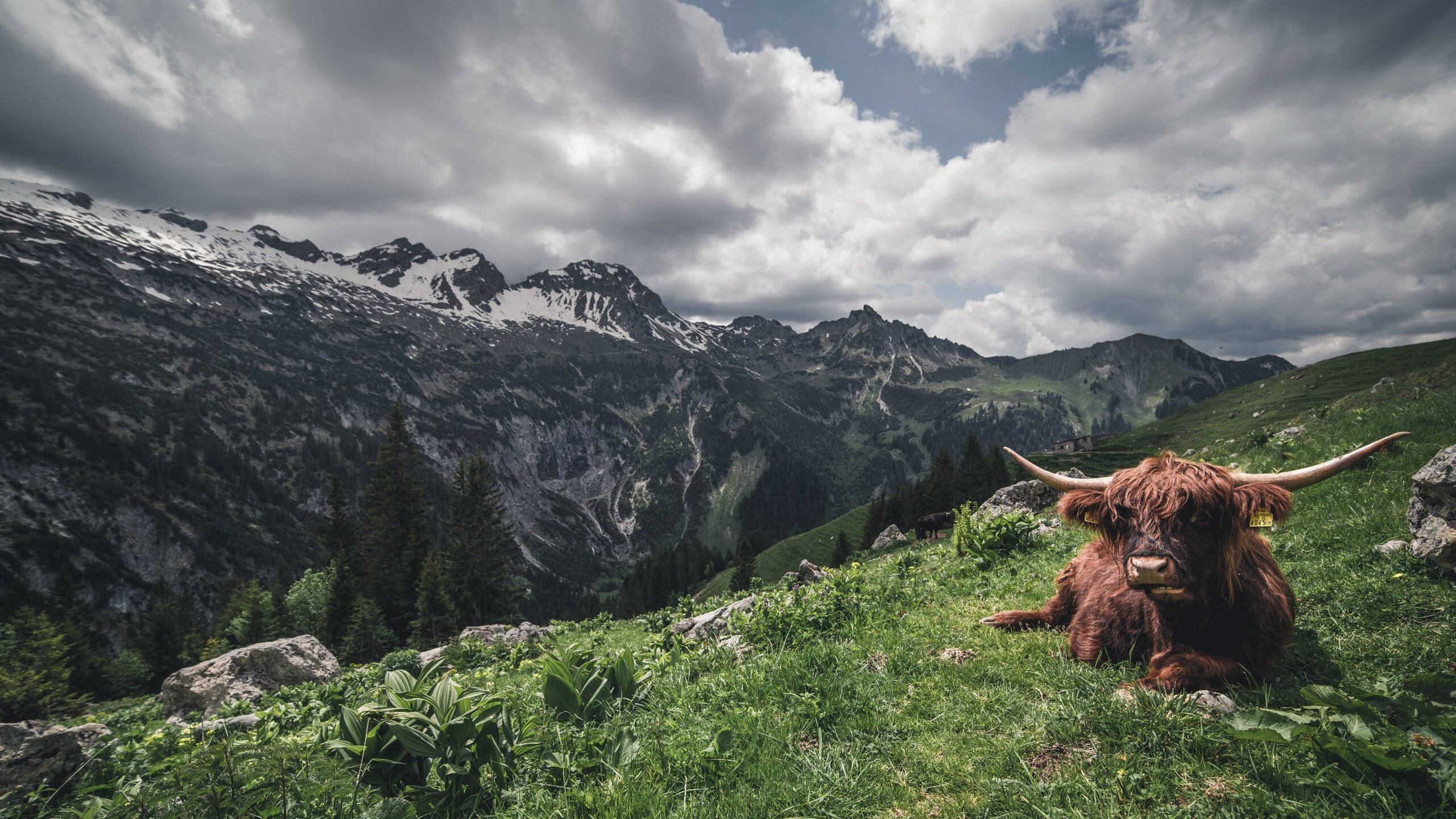 C罗对阵老东家完成梅开二度，c罗对视