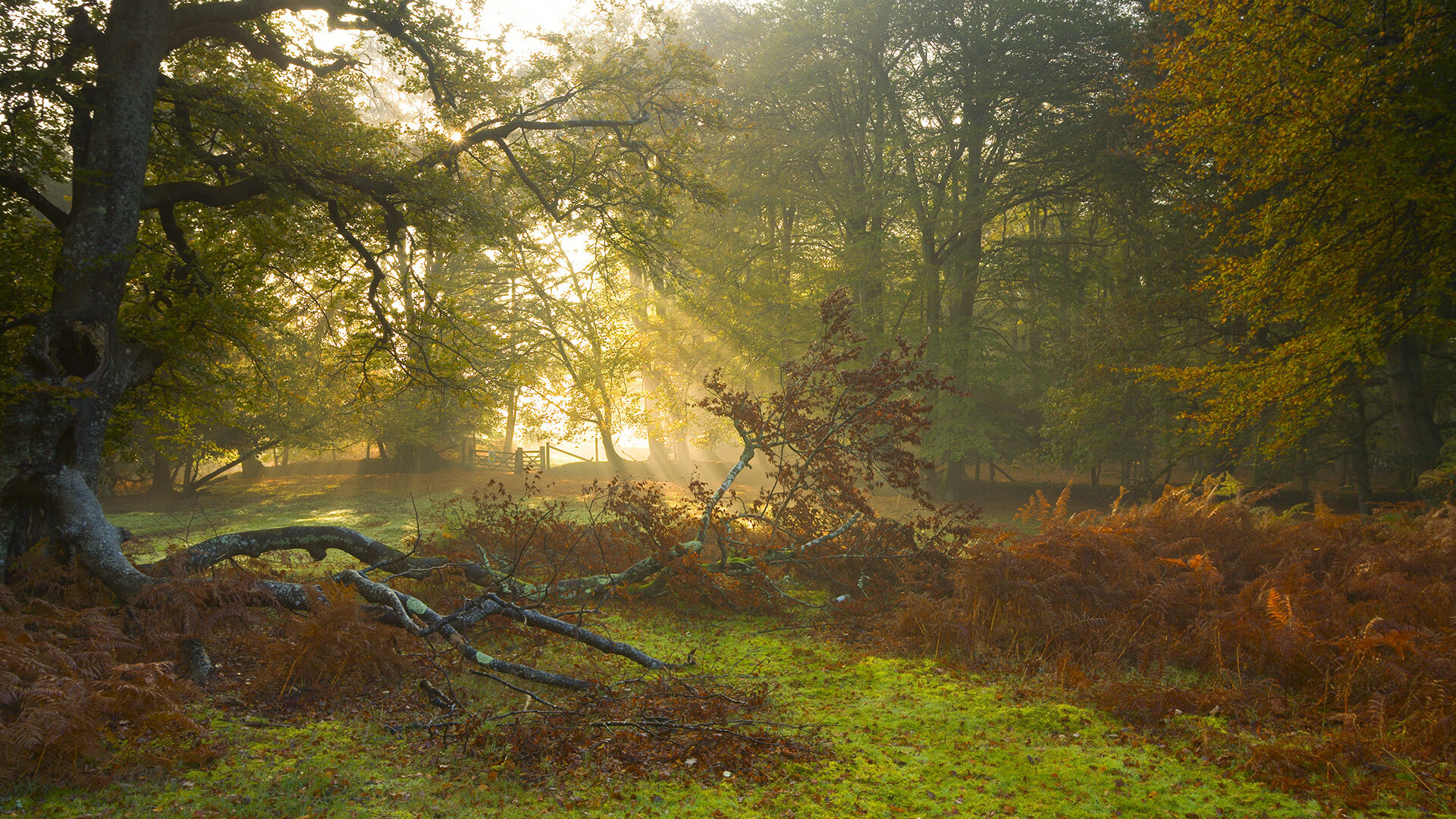 九游娱乐(jiuyou)官网-公牛主帅更换适应期工作稳步推进，公牛总经理谈选秀_ 会选择当时感觉最好的球员