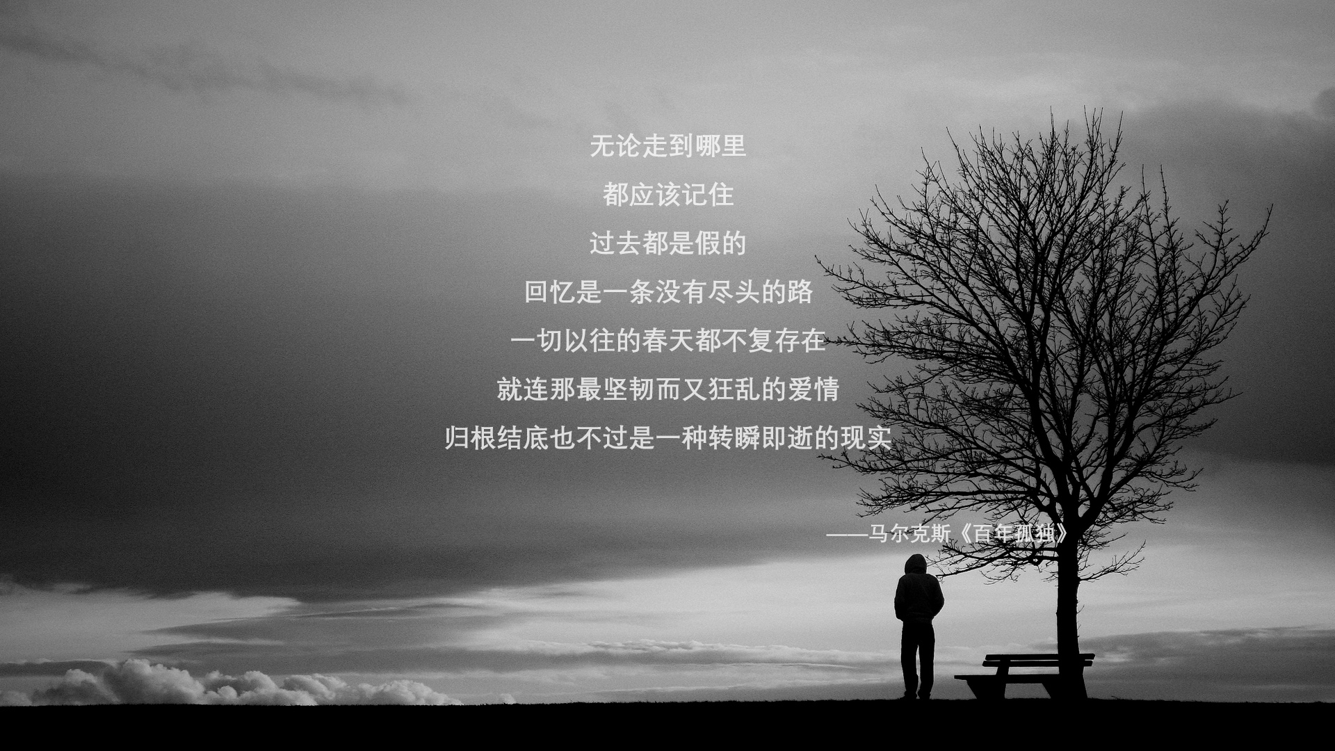 唐纳德·高尔强力冲击对方防线,助力袋鼠队取胜,唐纳德古尔德