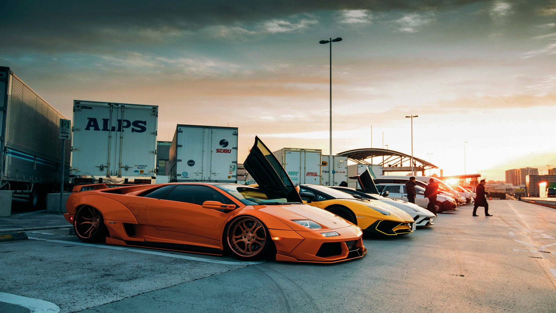 本土球员迎来突破赛季,本土球星