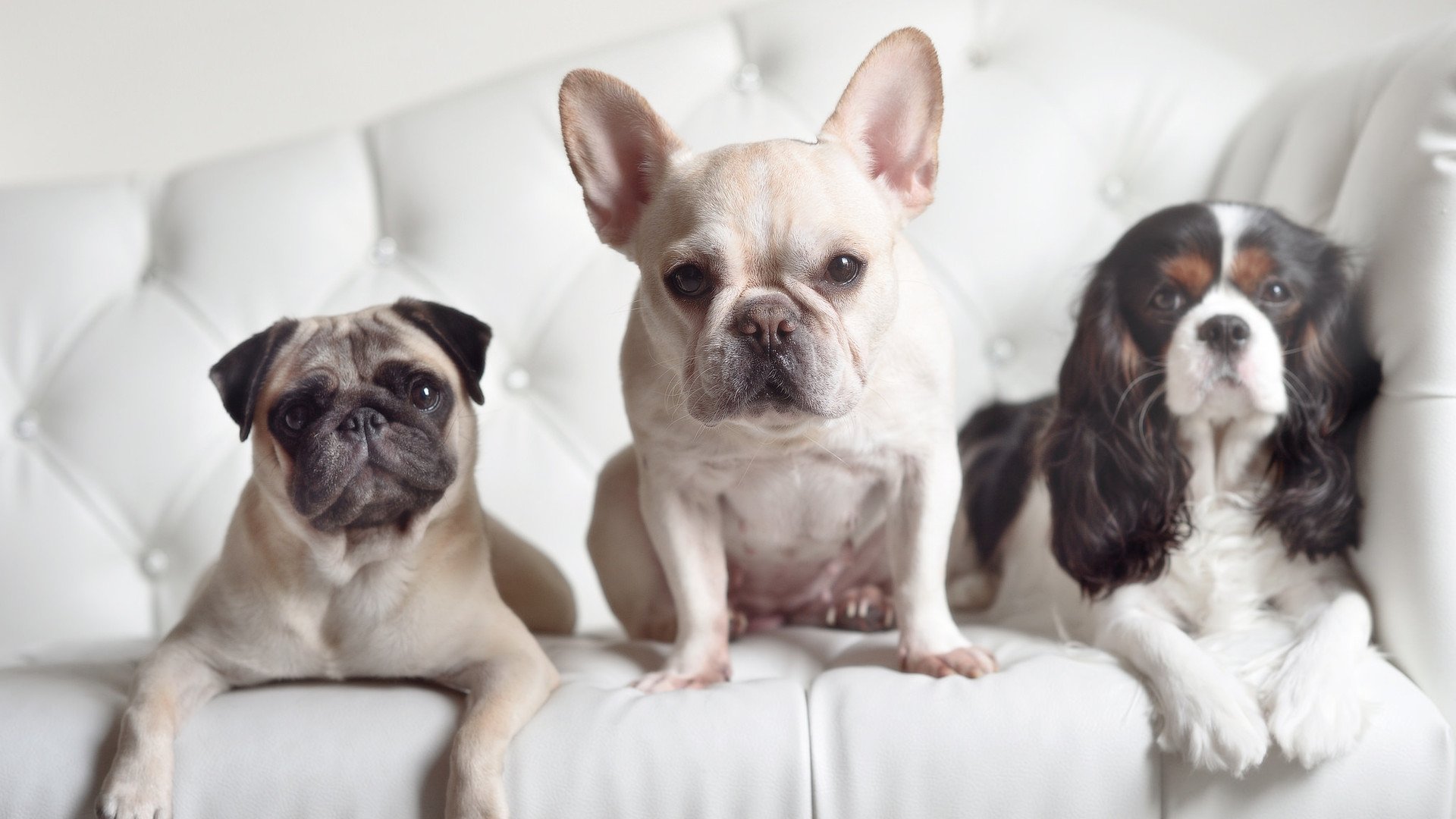 混合泳赛事吉尔吉斯斯坦团队配合默契，吉尔吉斯斯坦选手