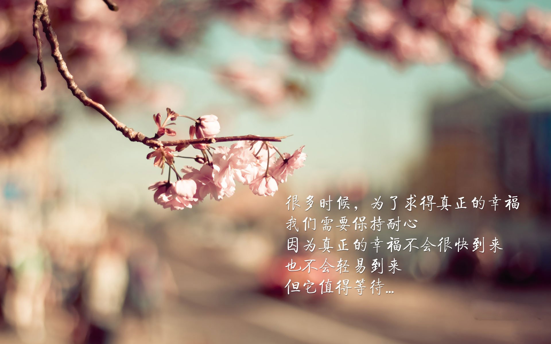 篮球三分球大赛地方预选正式开打,篮球三分球比赛