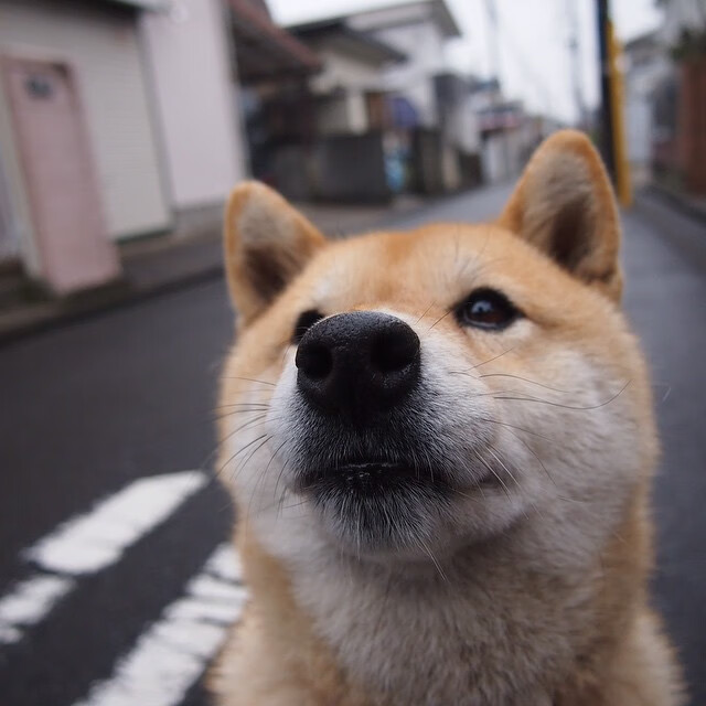 西甲联赛的球员科学训练体系，西甲联赛的球员科学训练体系怎么样