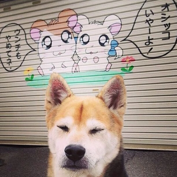 马刺注重传球流畅度增强团队感,马刺传切体系